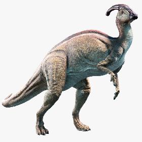 Parasaurolophus 3D